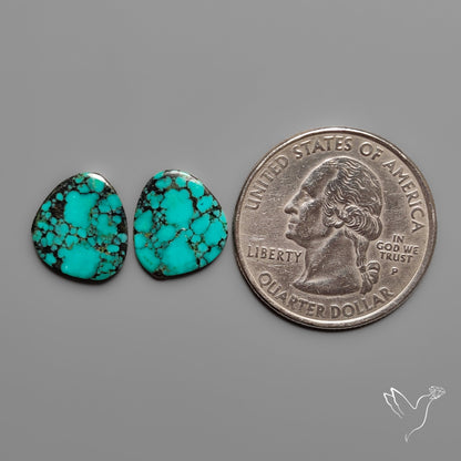 Hubei Turquoise Pair