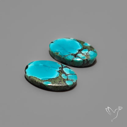 Hubei Turquoise Pair