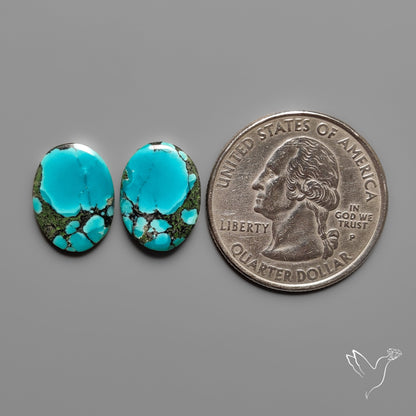 Hubei Turquoise Pair