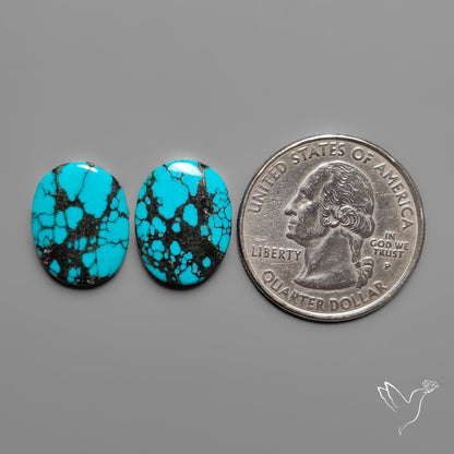 Hubei Turquoise Pair
