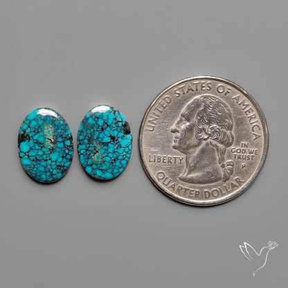 Hubei Turquoise Pair