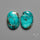 Hubei Turquoise Pair