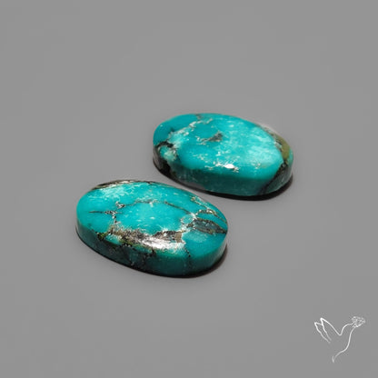 Hubei Turquoise Pair