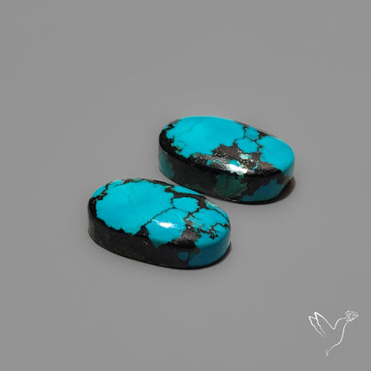 Hubei Turquoise Pair