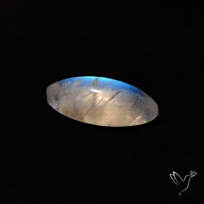 Rainbow Moonstone Cabochon