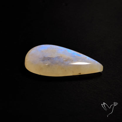 Russian Belomorite Moonstone Cabochon