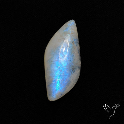 Russian Belomorite Moonstone Cabochon