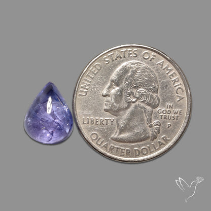 Tanzanite Gemmy High Grade Cabochon