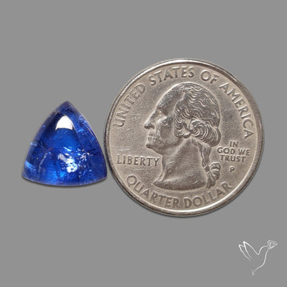 Tanzanite Gemmy High Grade Cabochon