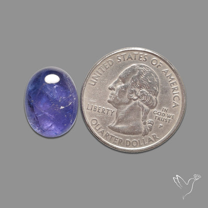 Tanzanite Gemmy High Grade Cabochon