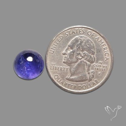 Tanzanite Gemmy High Grade Cabochon