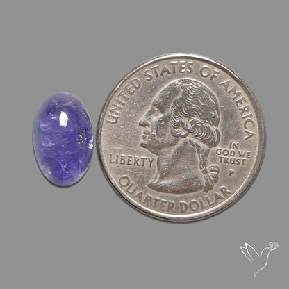 Tanzanite Gemmy High Grade Cabochon