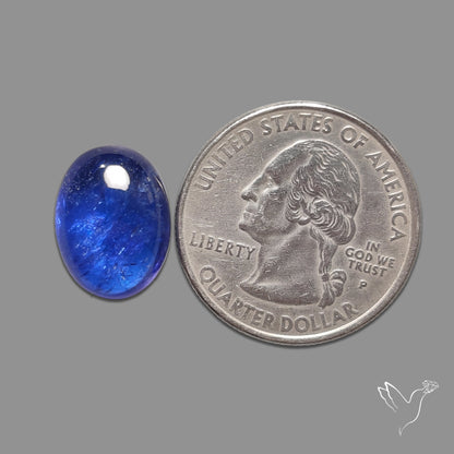 Tanzanite Gemmy High Grade Cabochon