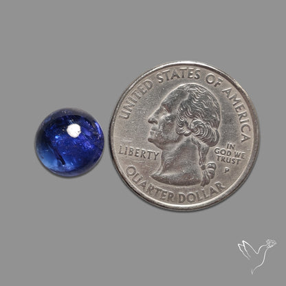 Tanzanite Gemmy High Grade Cabochon