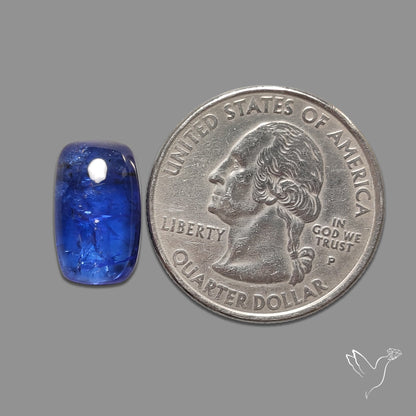 Tanzanite Gemmy High Grade Cabochon