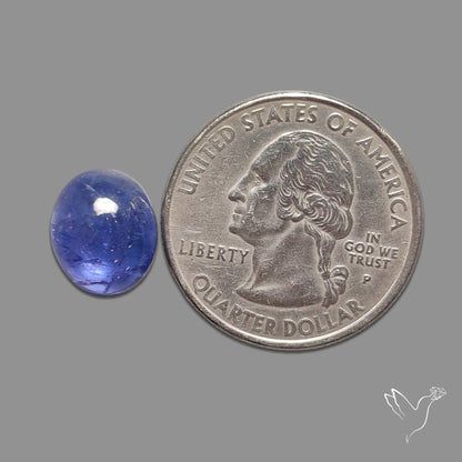 Tanzanite Gemmy High Grade Cabochon