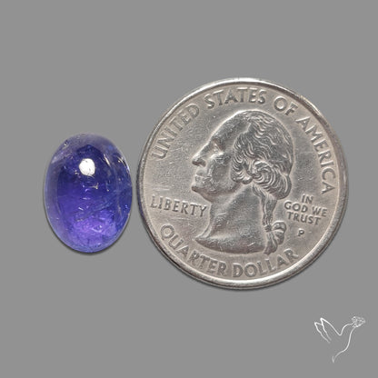 Tanzanite Gemmy High Grade Cabochon