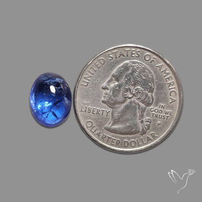 Tanzanite Gemmy High Grade Cabochon