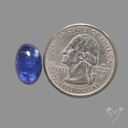 Tanzanite Gemmy High Grade Cabochon