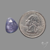 Rose Cut Tanzanite