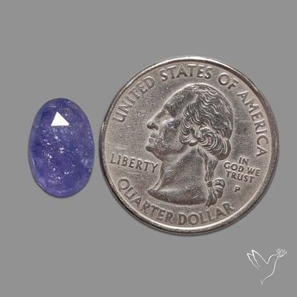 Rose Cut Tanzanite