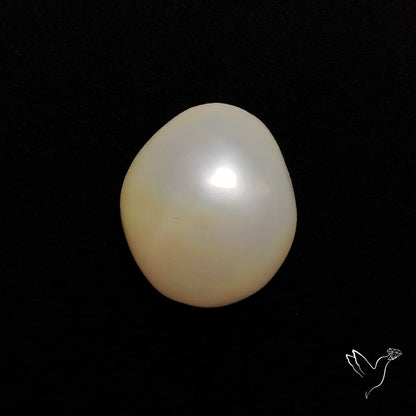 Freshwater Pearl Cabochon