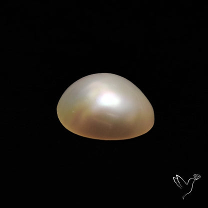 Freshwater Pearl Cabochon