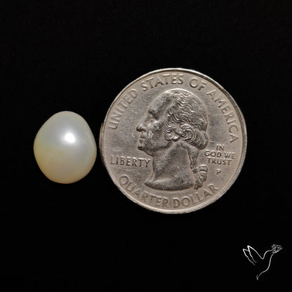 Freshwater Pearl Cabochon