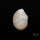 Freshwater Pearl Cabochon