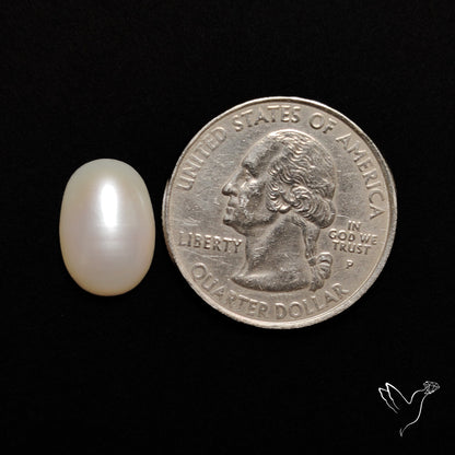 Freshwater Pearl Cabochon