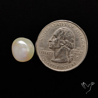 Freshwater Pearl Cabochon