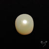 Freshwater Pearl Cabochon