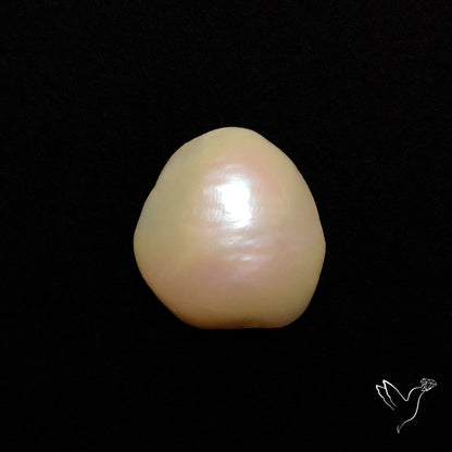 Freshwater Pearl Cabochon