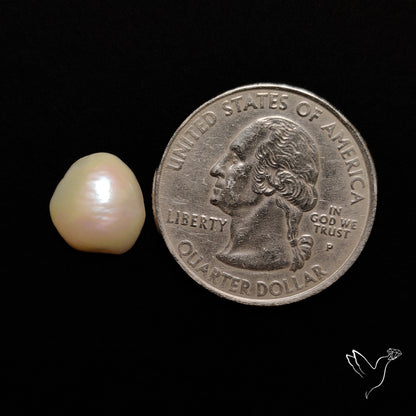 Freshwater Pearl Cabochon