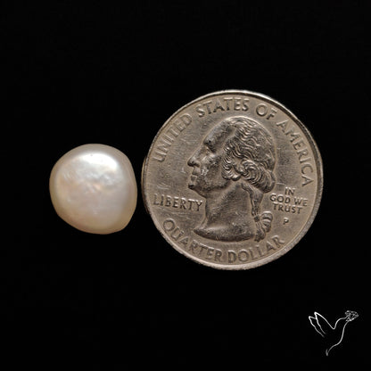 Freshwater Pearl Cabochon