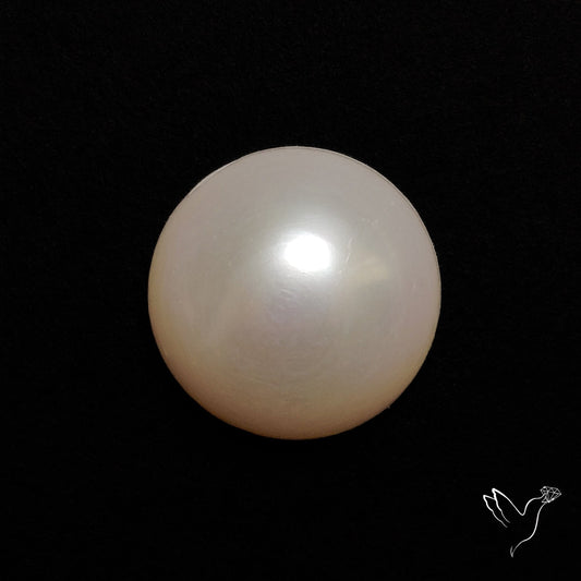 Freshwater Pearl Cabochon