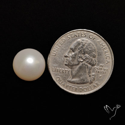 Freshwater Pearl Cabochon