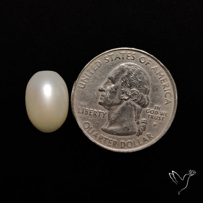 Freshwater Pearl Cabochon