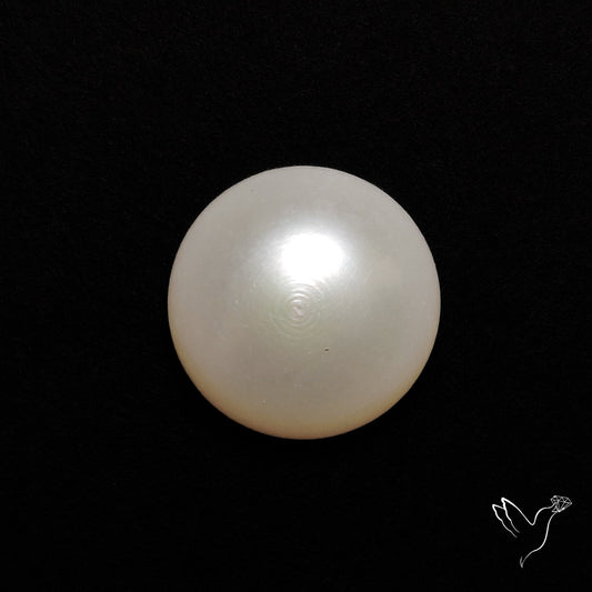 Freshwater Pearl Cabochon
