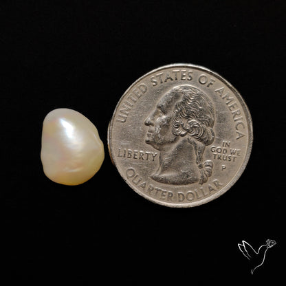 Freshwater Pearl Cabochon