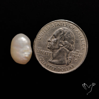 Freshwater Pearl Cabochon
