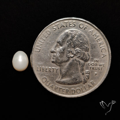 Freshwater Pearl Cabochon