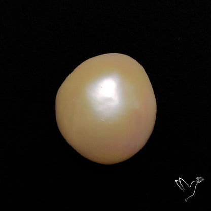 Freshwater Pearl Cabochon