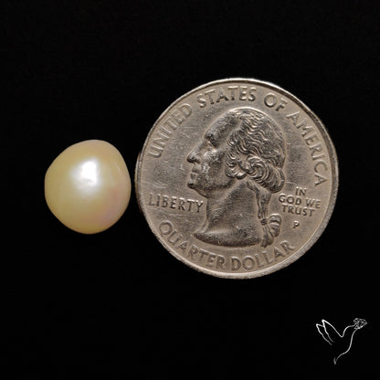 Freshwater Pearl Cabochon