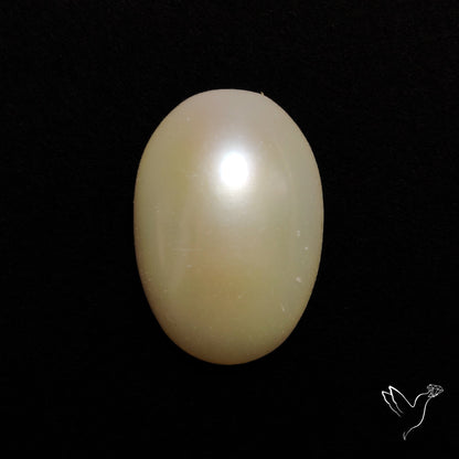 Freshwater Pearl Cabochon