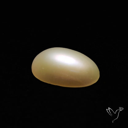 Freshwater Pearl Cabochon