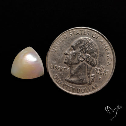 Freshwater Pearl Cabochon
