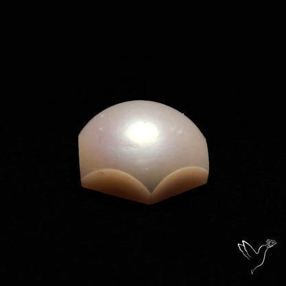 Freshwater Pearl Cabochon