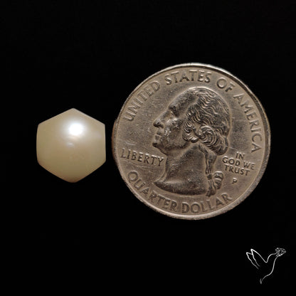 Freshwater Pearl Cabochon