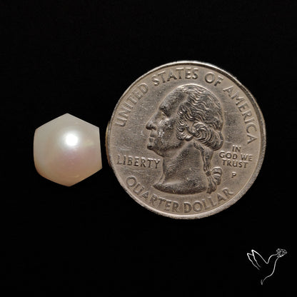 Freshwater Pearl Cabochon
